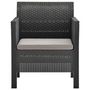 Voir la diapositive 2 : VIDAXL Chaise de jardin avec coussin Anthracite 63x65x76 cm PP Rotin