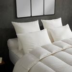 DODO Lot de 2 Oreillers Micro Douceur - Moelleux. Coloris disponibles : Blanc