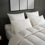 DODO Lot de 2 Oreillers Micro Douceur - Moelleux. Coloris disponibles : Blanc