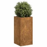 VIDAXL Jardiniere rouille 40x40x80 cm acier inoxydable