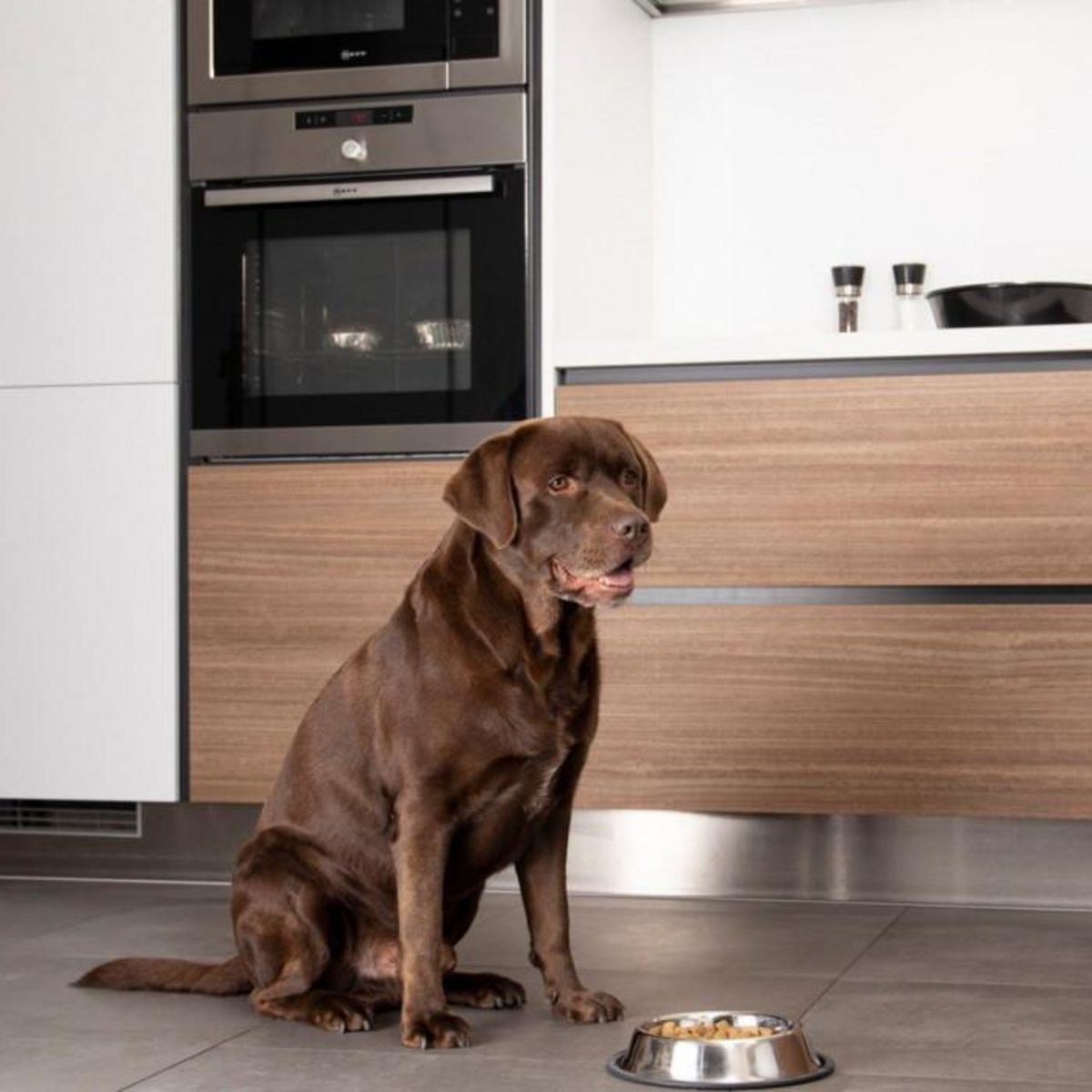 Paris Prix Gamelle pour Chien & Chat  Antidérapante  24cm Argent