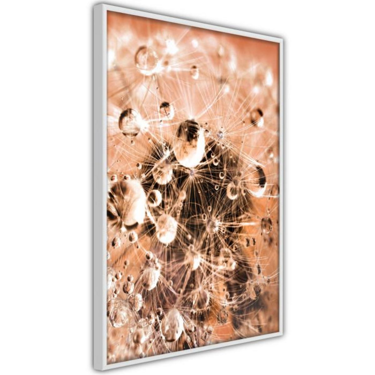 Paris Prix Affiche Murale Encadrée  Drops on Dandelion