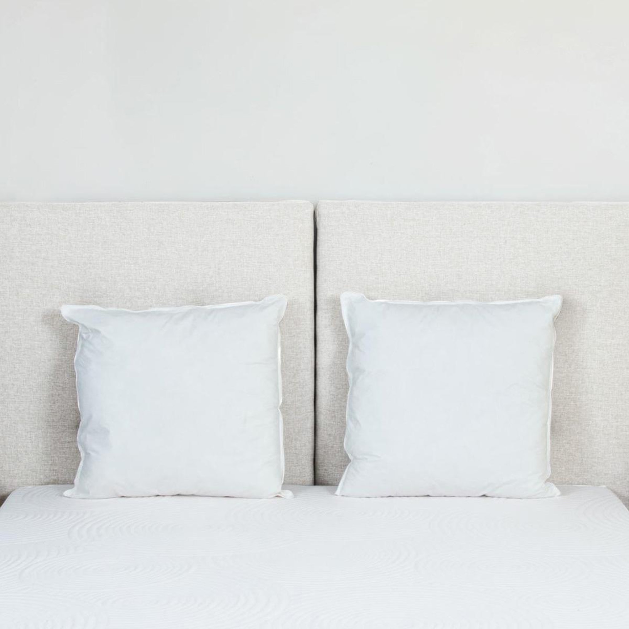 Voir la diapositive 6 : BELLECOUR Bellecour literie | oreiller luxotel | fibres creuses