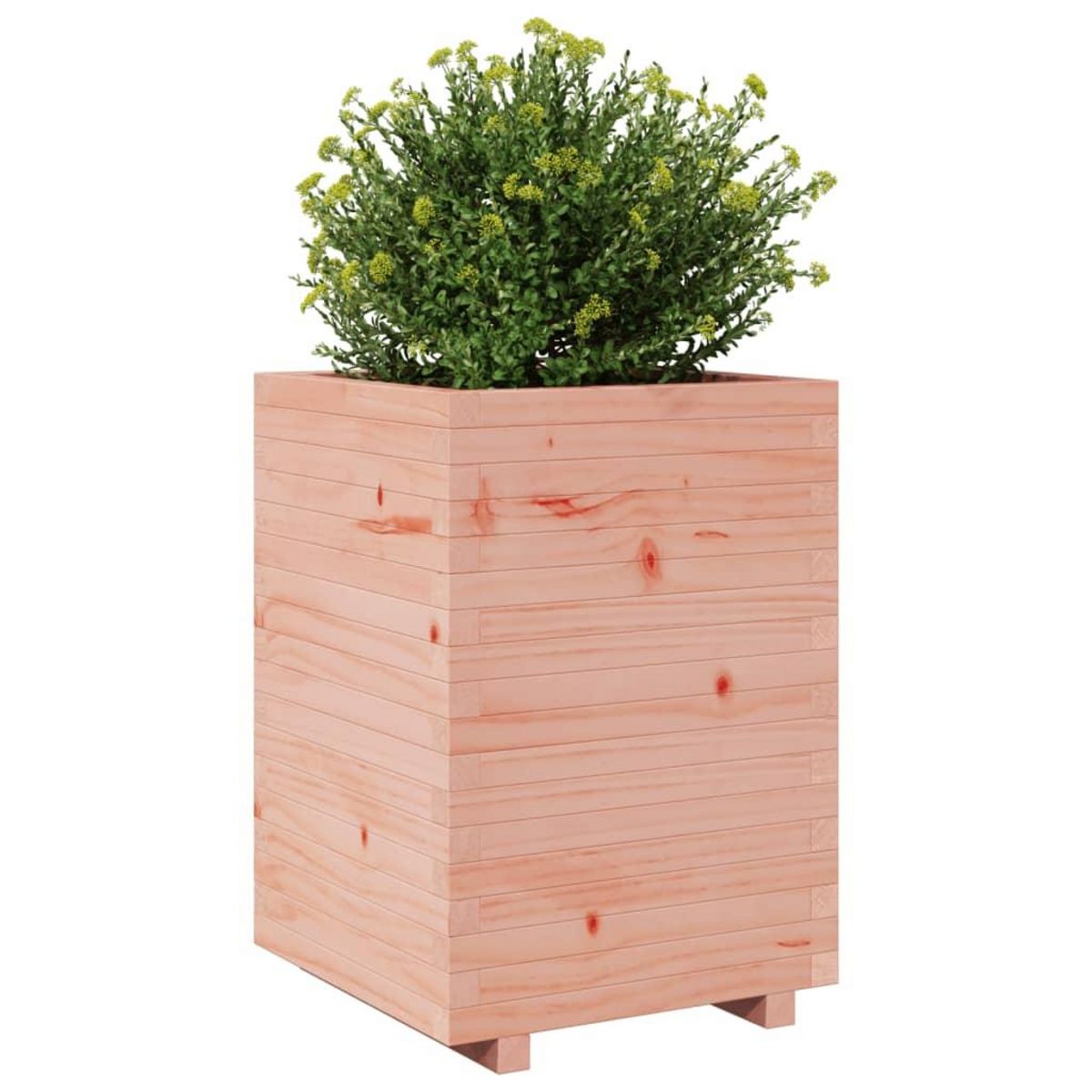 VIDAXL Jardiniere 50x50x72,5 cm bois massif de douglas