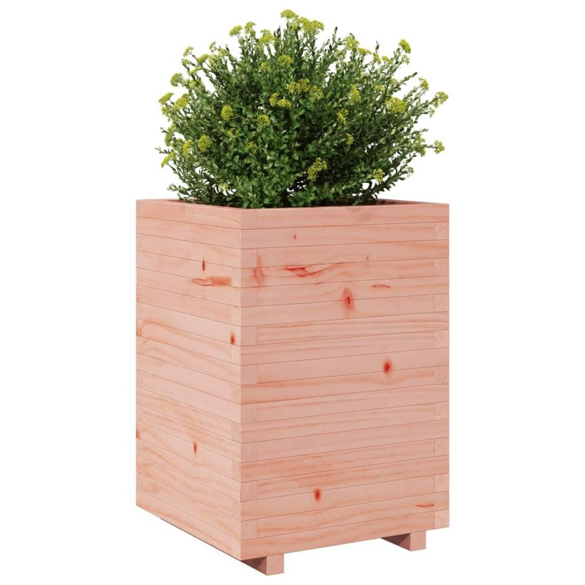 VIDAXL Jardiniere 50x50x72,5 cm bois massif de douglas