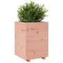 Voir la diapositive 4 : VIDAXL Jardiniere 50x50x72,5 cm bois massif de douglas