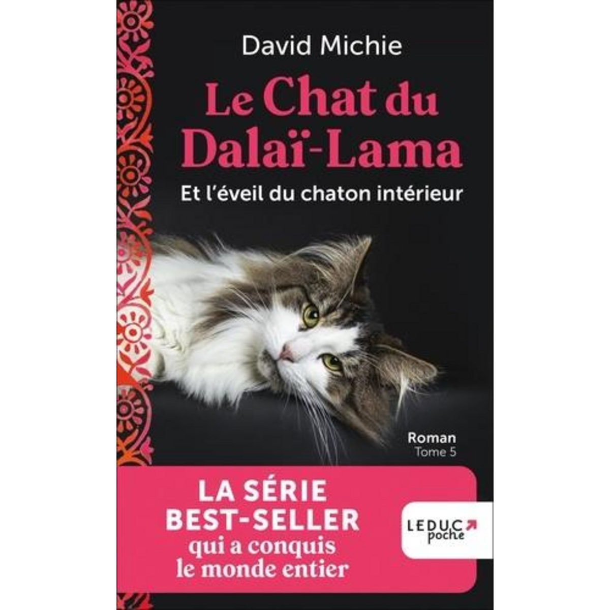 LE CHAT DU DALAI-LAMA TOME 5 : LE CHAT DU DALAI-LAMA ET L'EVEIL DU CHATON INTERIEUR, Michie David