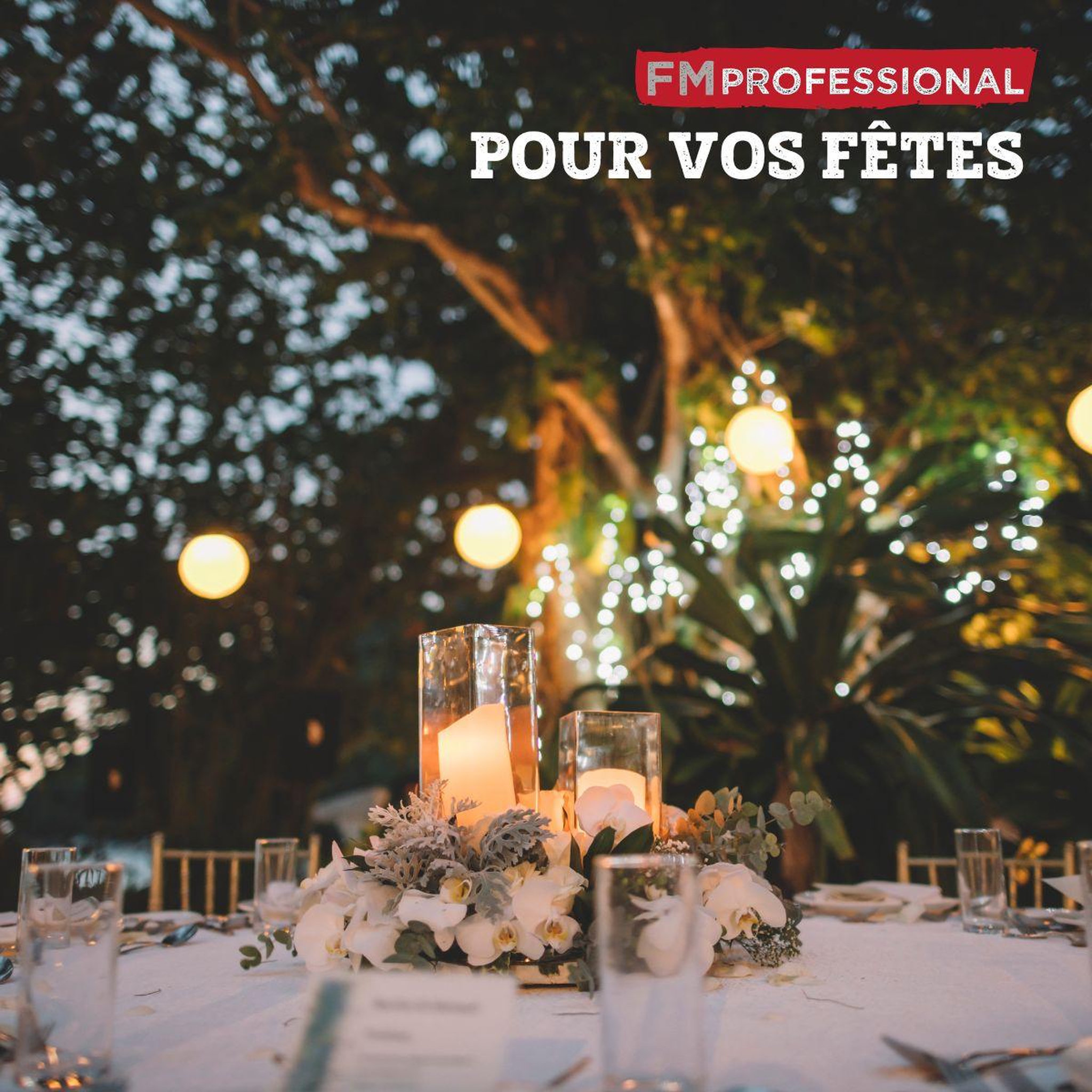 Voir la diapositive 6 : FM PROFESSIONAL Lot de 12 salières/poivrières fm professional