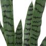 Voir la diapositive 2 : ATMOSPHERA Sansevieria artificielle avec pot plastique - H. 90 cm - Vert