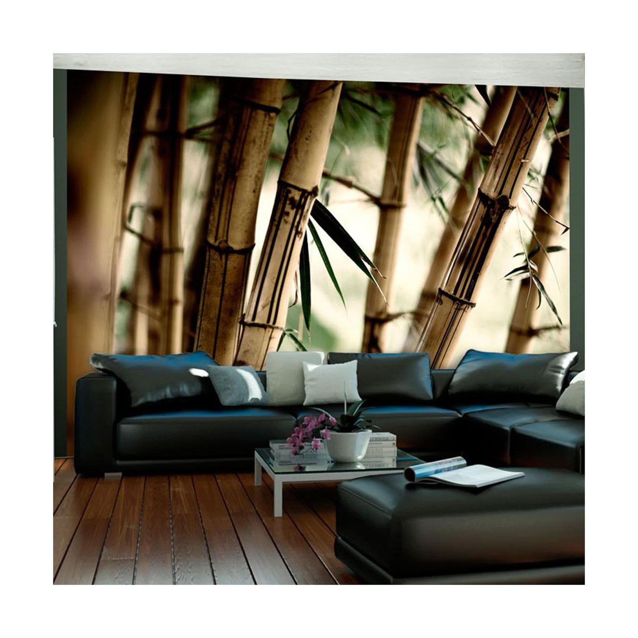 Voir la diapositive 1 : Paris Prix Papier Peint  Fog & Bamboo Forest