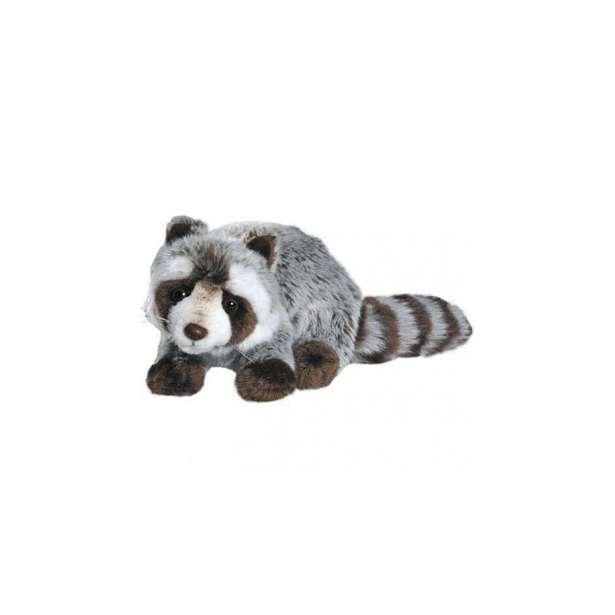 Anima - raton laveur 25 cm