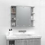 Voir la diapositive 4 : VIDAXL Armoire a miroir avec LED Sonoma gris 70x16,5x60 cm