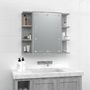 Voir la diapositive 4 : VIDAXL Armoire a miroir avec LED Sonoma gris 70x16,5x60 cm