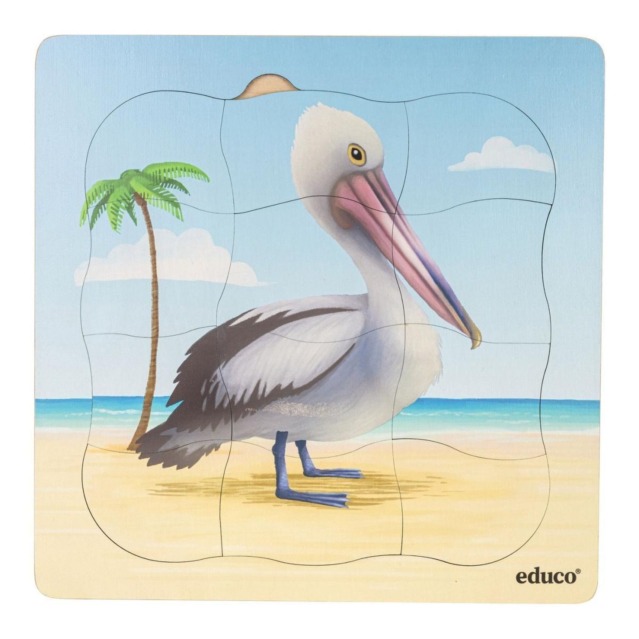 Voir la diapositive 3 : EDUCO Sur la plage - le pélican pousse — 31 pièces de puzzle
