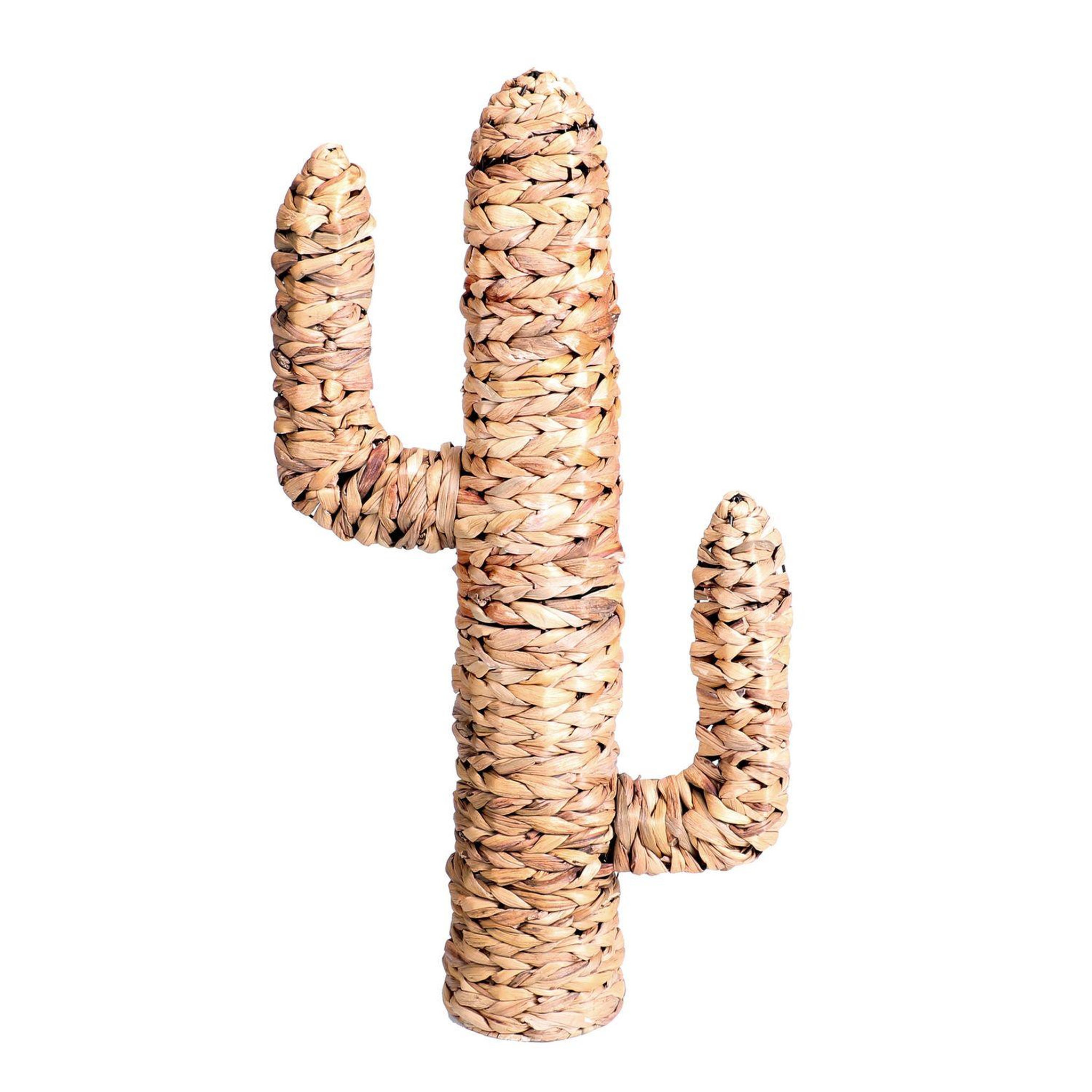 DIVERS Cactus en jacinthe d'eau tressée natural living - h. 80 cm - marron