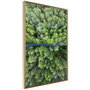 Voir la diapositive 1 : Paris Prix Affiche Murale Encadrée  Forest from a Bird's Eye View
