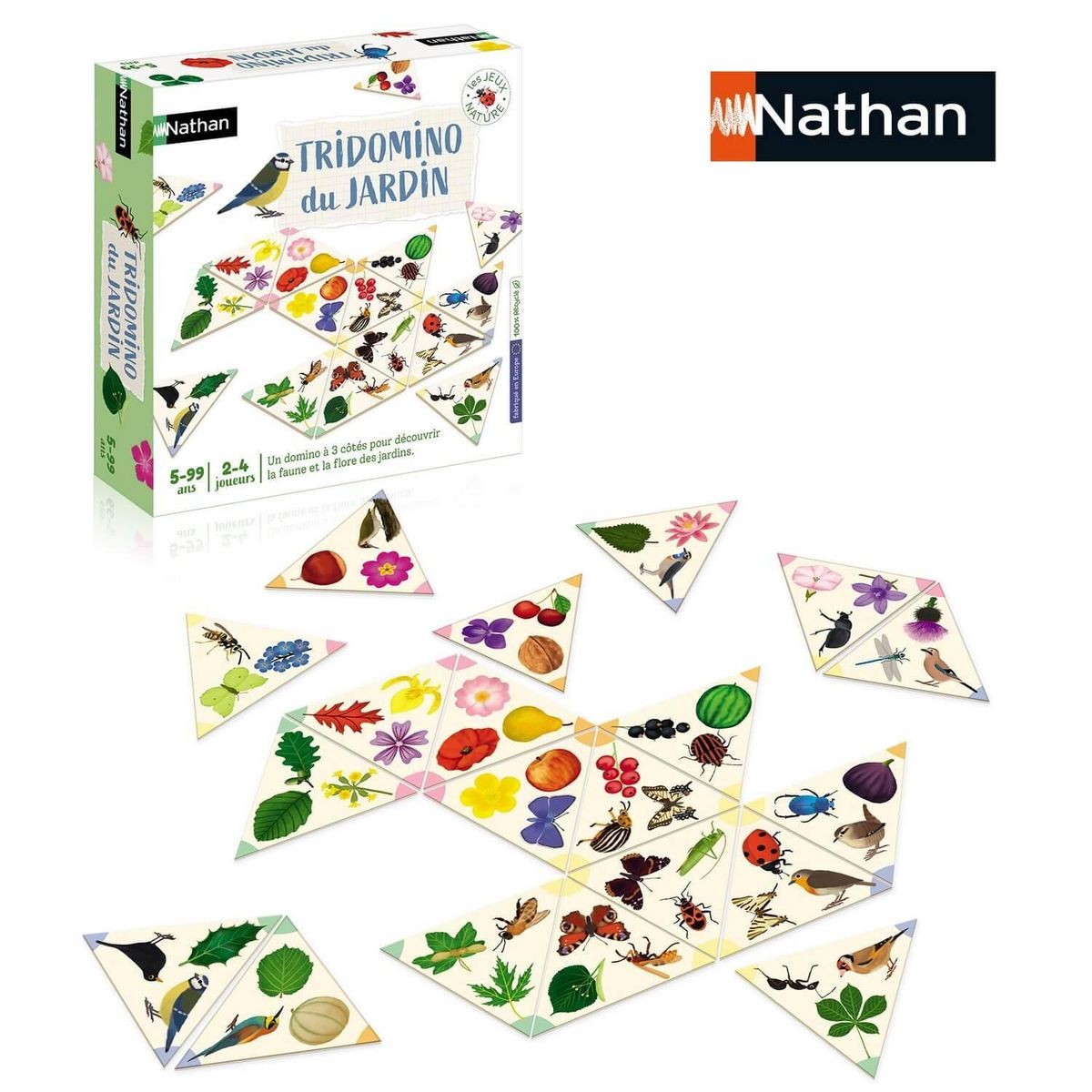 Nathan Tridomino Du Jardin