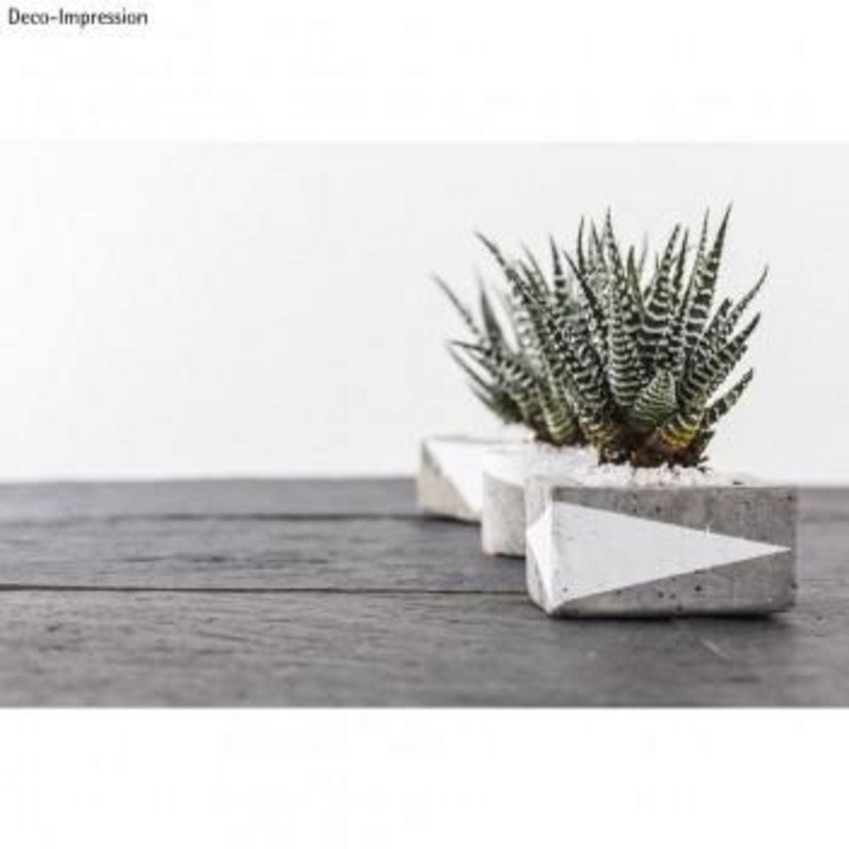 Rayher Béton créatif 1 kg