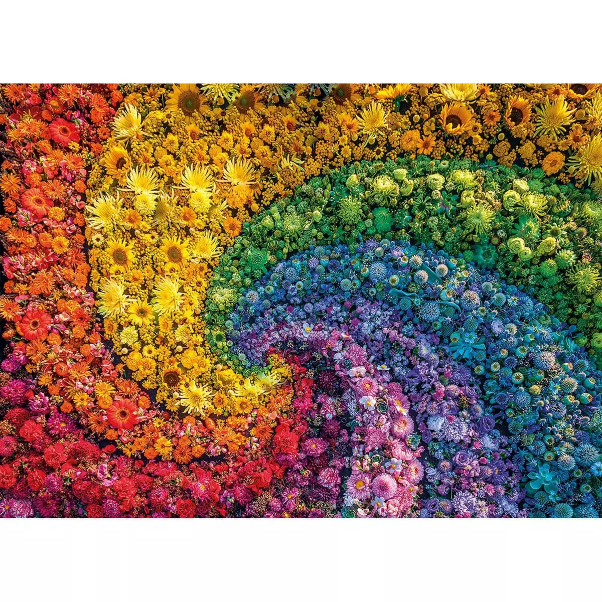CLEMENTONI Puzzle 1000 pièces : Colorboom collection : Tourbillon