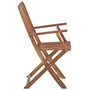 Voir la diapositive 4 : VIDAXL Chaises pliables d'exterieur lot de 2 Bois d'acacia solide