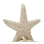 Voir la diapositive 4 : Paris Prix Étoile de Mer sur Coquillage en Résine  Sand  30cm Beige