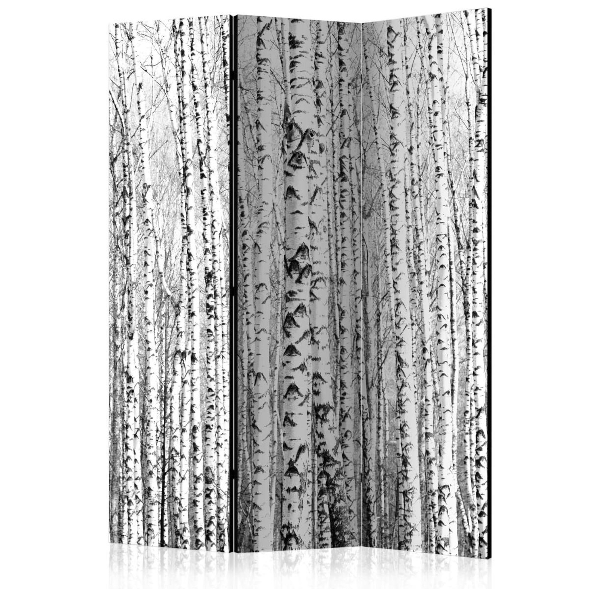 Paris Prix Paravent 3 volets  birch forest  135x172cm