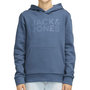 Voir la diapositive 1 : Jack & Jones Sweat Bleu Garçon Jack and Jones jecorp NBZ