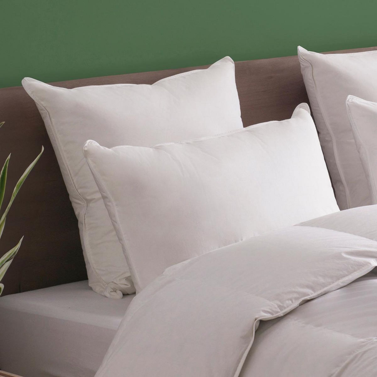 DODO Oreiller Graine de Lin - MEDIUM