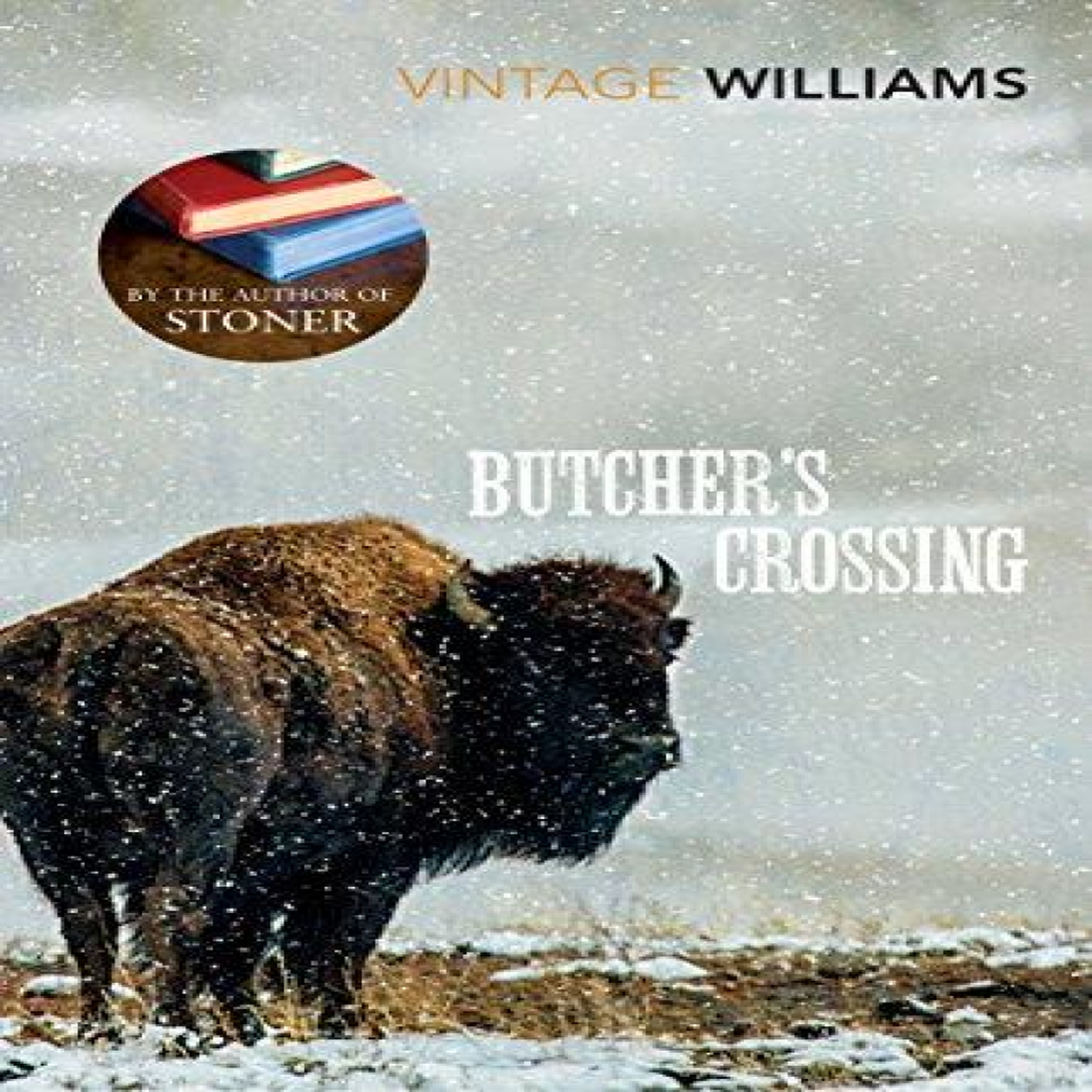 LIVRES Butcher's Crossing - John Williams