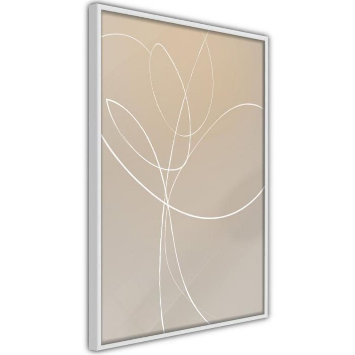 Paris Prix Affiche Murale Encadrée  White Tulip