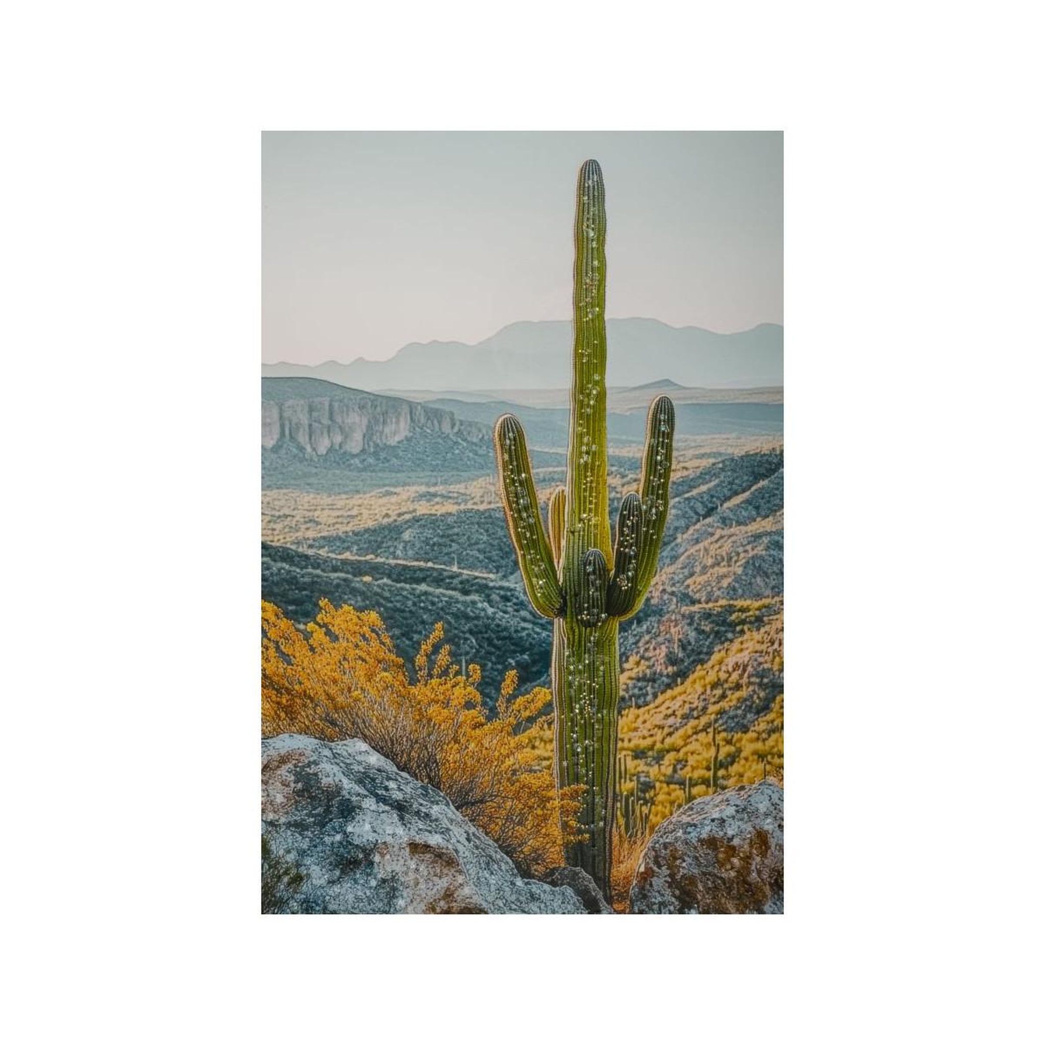 Voir la diapositive 4 : Paris Prix Tableau imprimé  cactus dressé ii  60x90cm multicolore