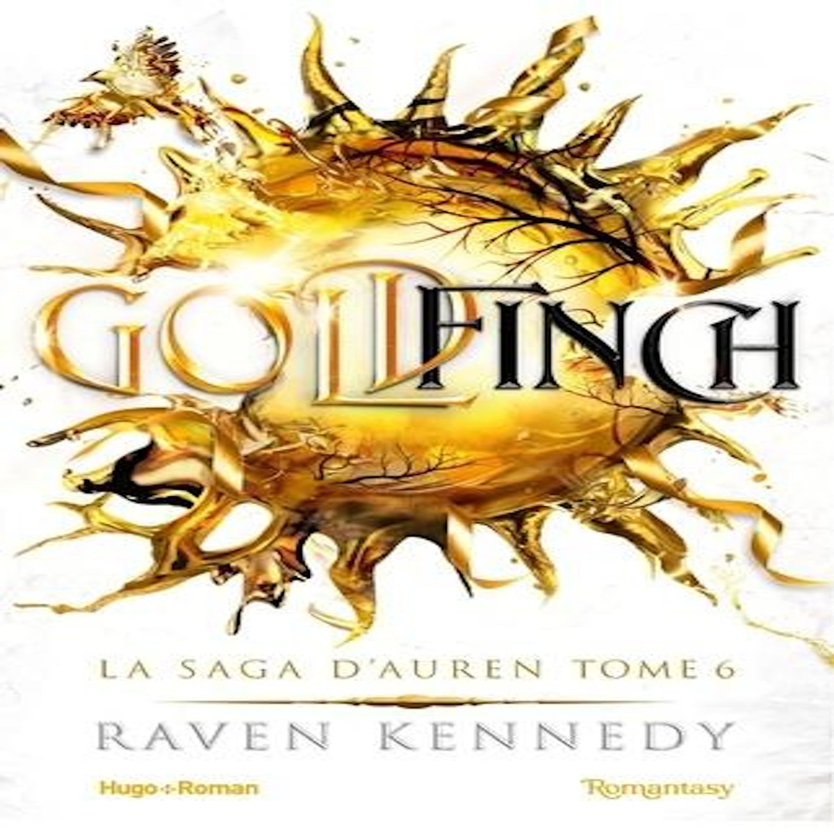 LA SAGA D'AUREN TOME 6 : GOLDFINCH, Kennedy Raven