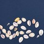 RICO DESIGN 6 Perles - Coquillages argent - 2 perforations