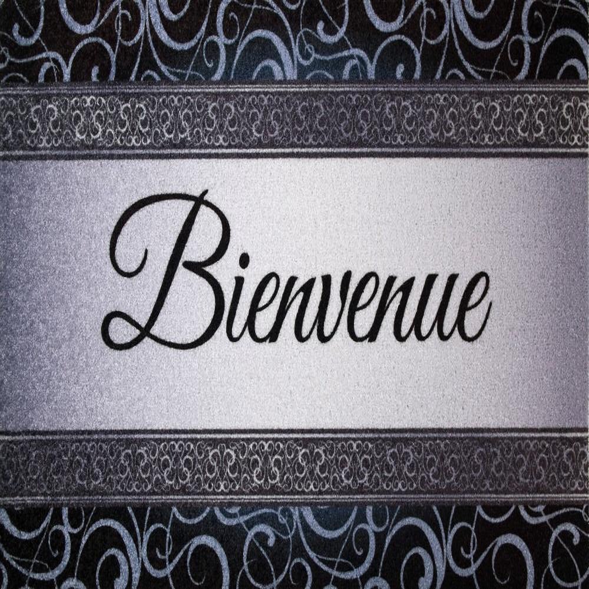Id mat Tapis Dallas Bienvenu Gris 50X80Cm