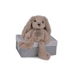 Histoire D'Ours Lapin Histoire d'Ours Copains Câlins Beige 25 cm