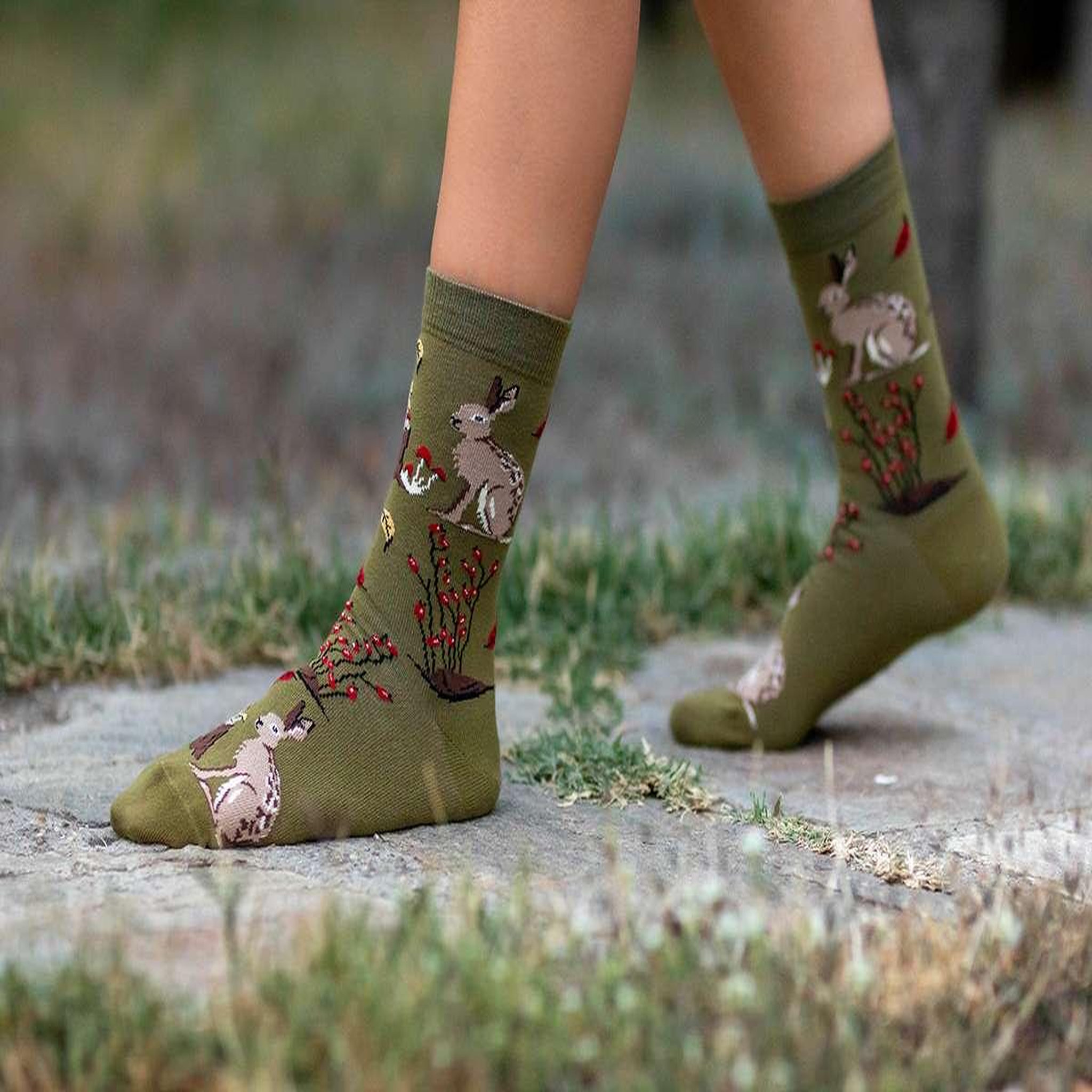 Voir la diapositive 5 : PIRIN HILL Chaussettes coton bio automne lièvres