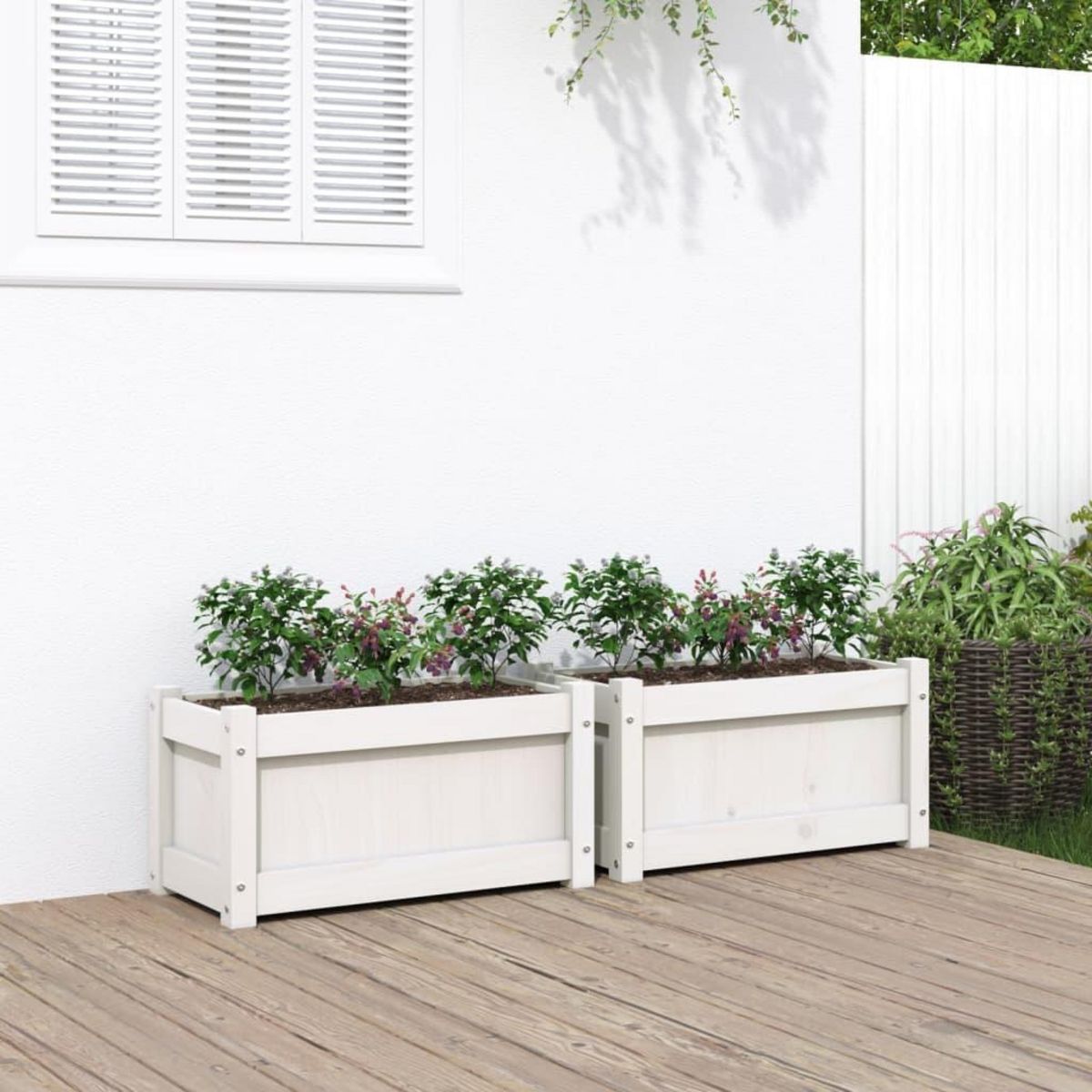 VIDAXL Jardinieres 2 pcs blanc bois de pin massif