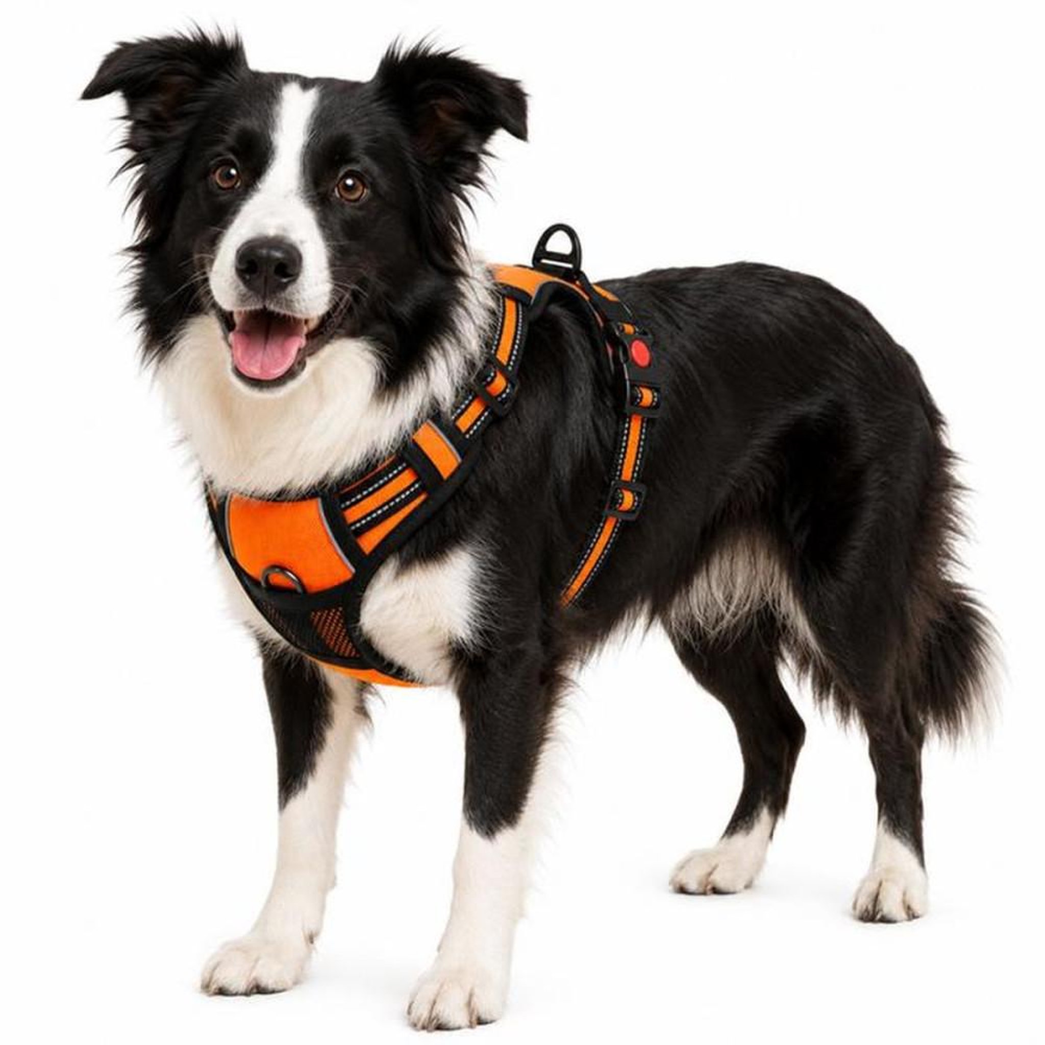 Harnais anti-traction réglable pour chien taille M, orange réfléchissant, bretelles en nylon et sangle thoracique rembourrée en Oxford