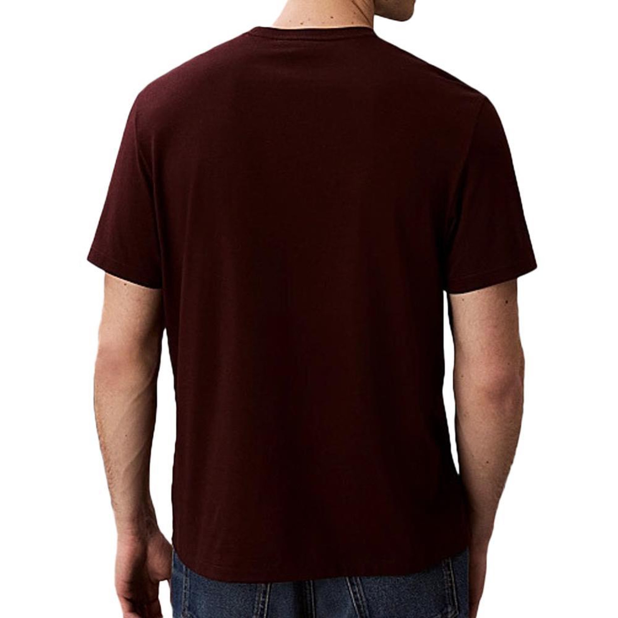 Voir la diapositive 2 : CALVIN KLEIN JEANS T-Shirt Marron Homme Calvin Klein Jeans Easy LV04RC275G