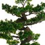Voir la diapositive 2 : ATMOSPHERA Plante Artificielle  Bonsai  80cm