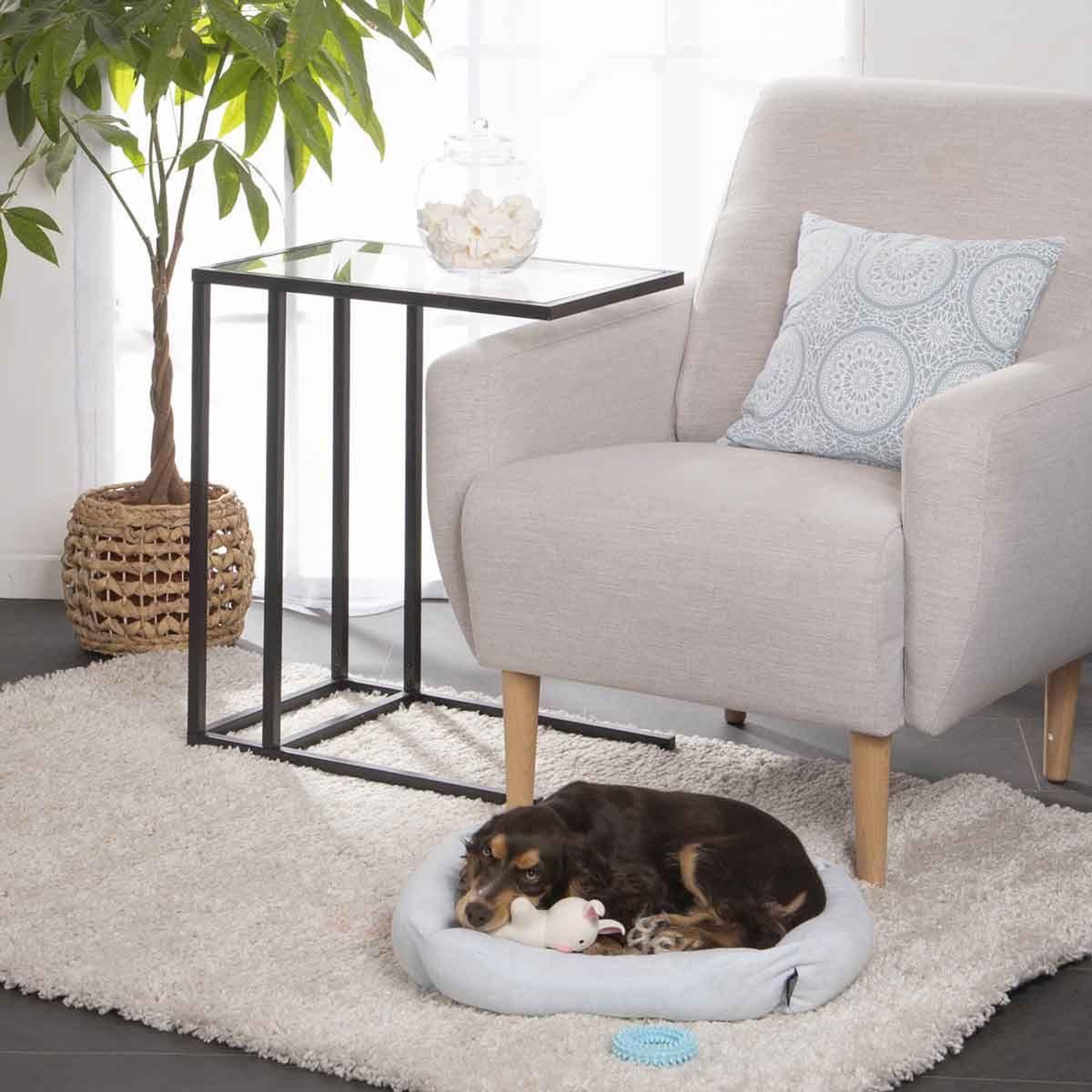 Voir la diapositive 5 : HOMEA Jouet anneau pour chien & chat  puppy  8cm rose