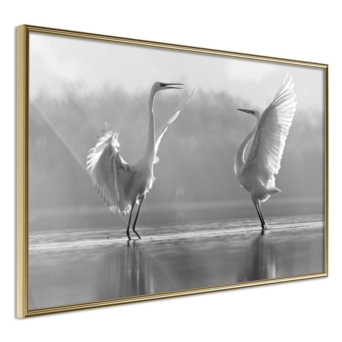 Paris Prix Affiche Murale Encadrée  Black and White Herons