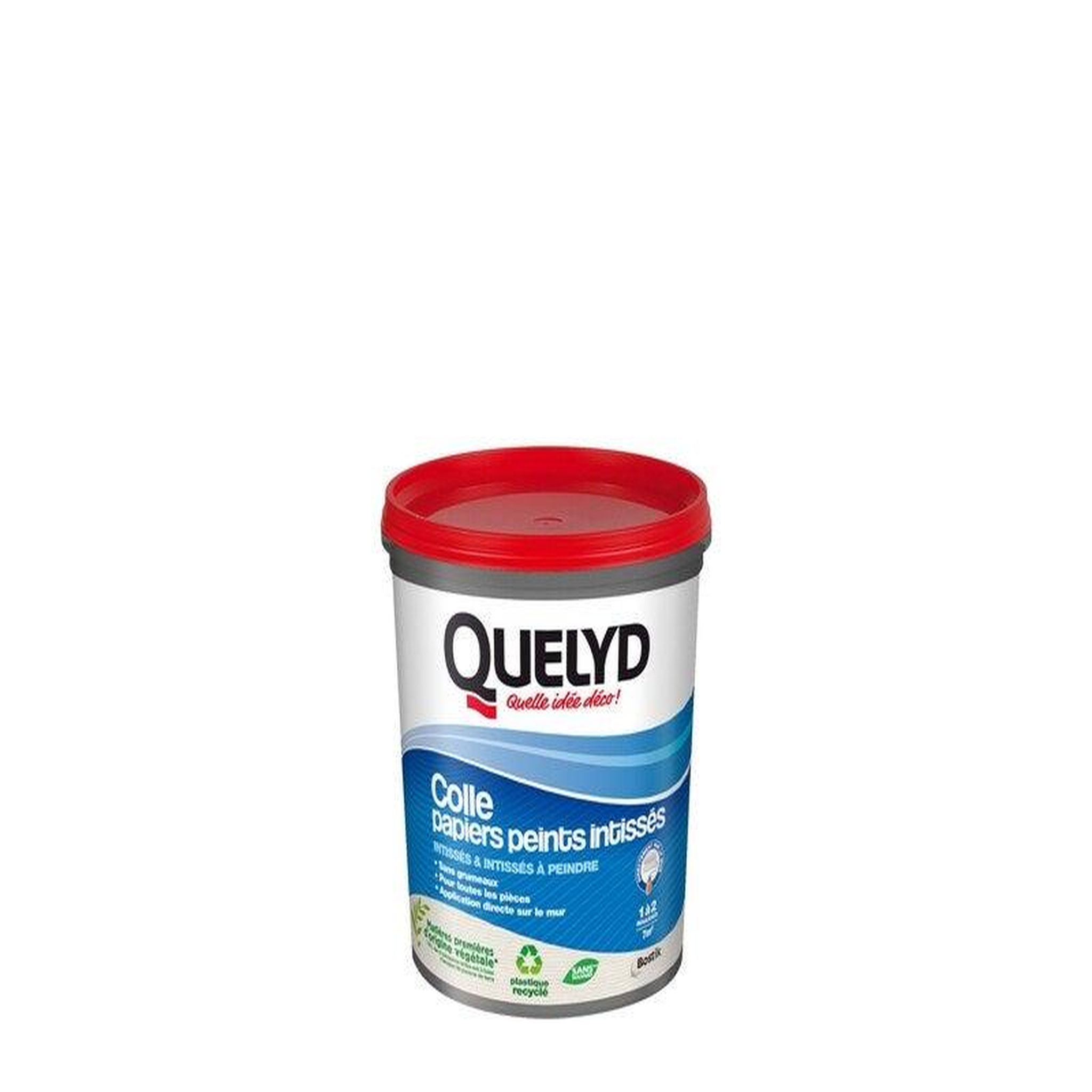 QUELYD Colle Pate papier peint intisse QUELYD, 1 kg