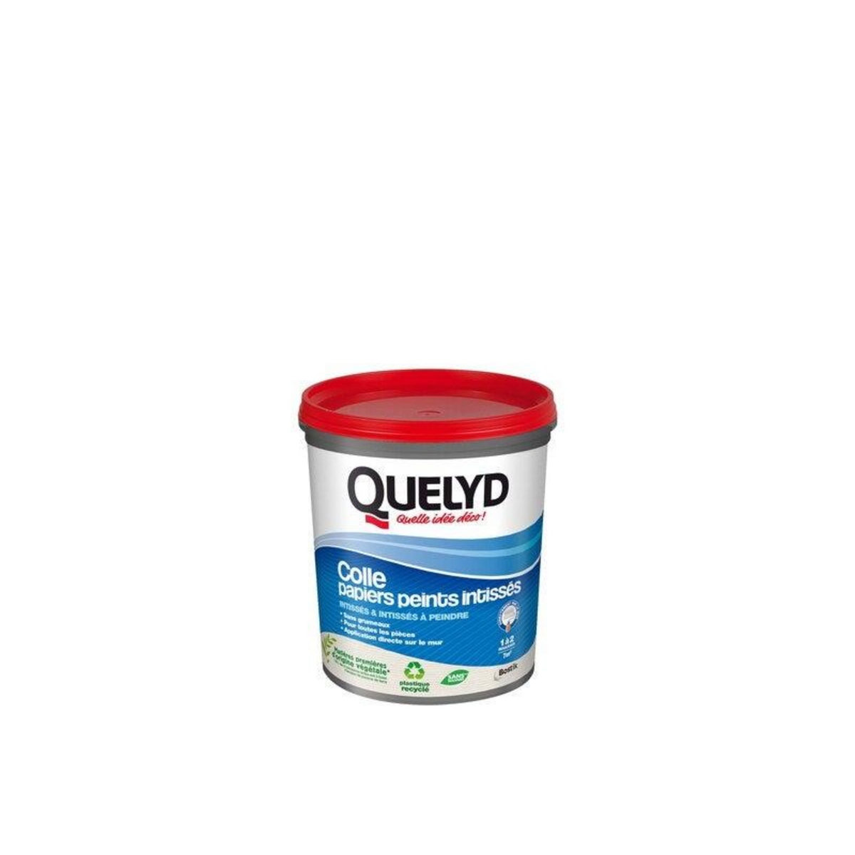 QUELYD Colle Pate papier peint intisse QUELYD, 1 kg