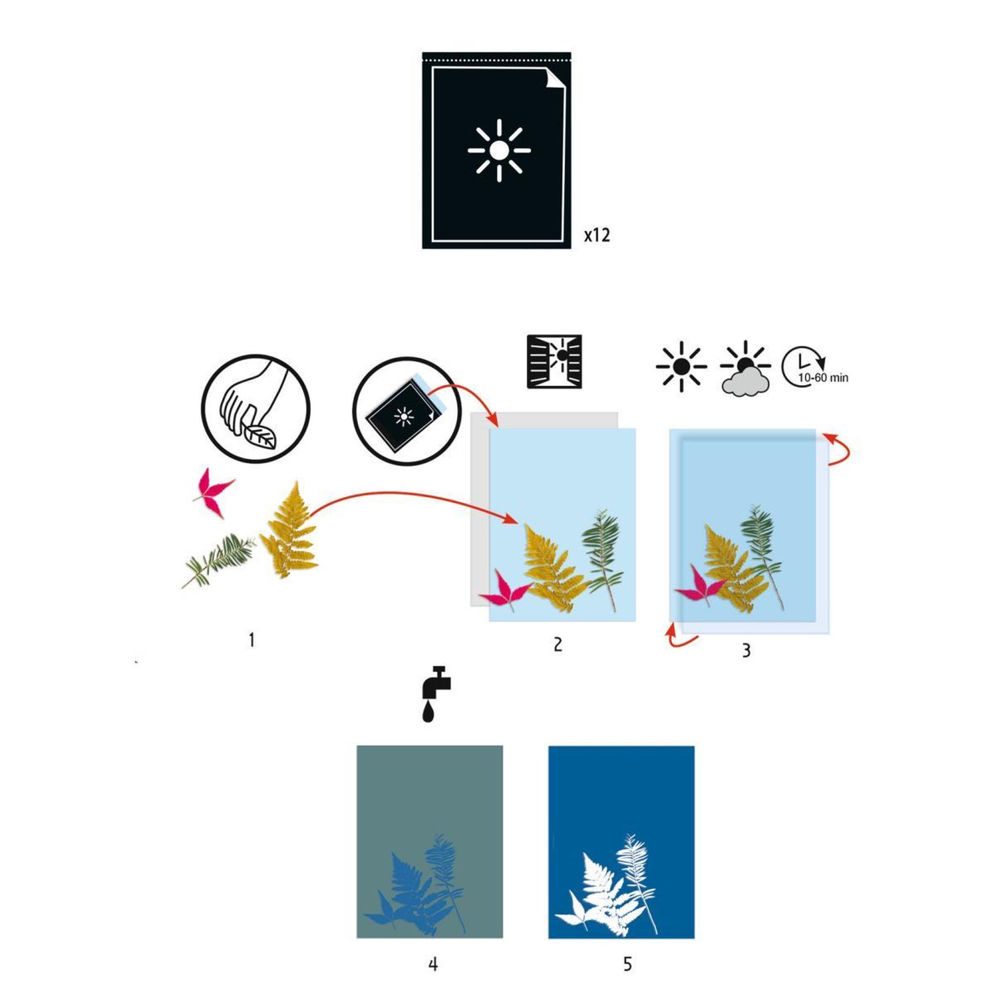 Voir la diapositive 2 : Djeco lot de papier pour Cyanotype