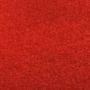 Voir la diapositive 5 : VIDAXL Tapis rouge 1 x 20 m Extra lourd 400 g/m^2