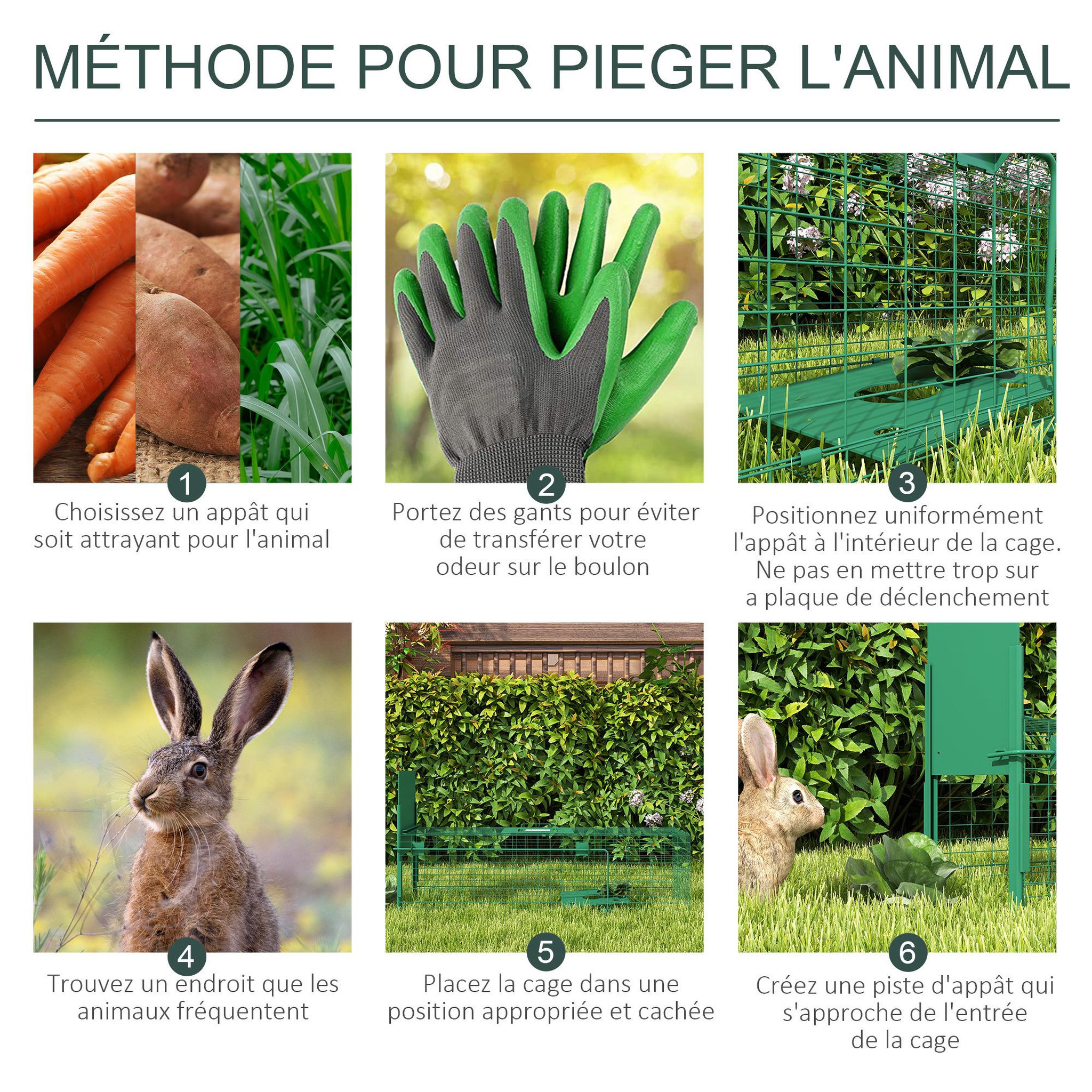 Voir la diapositive 6 : OUTSUNNY Piège de capture pour petits animaux type lapin rat - entrée, poignée - dim. 100L x 25l x 28H cm - acier vert