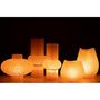 Voir la diapositive 6 : Paris Prix Vase Design Ligne & Boule  Octave  35cm Rose