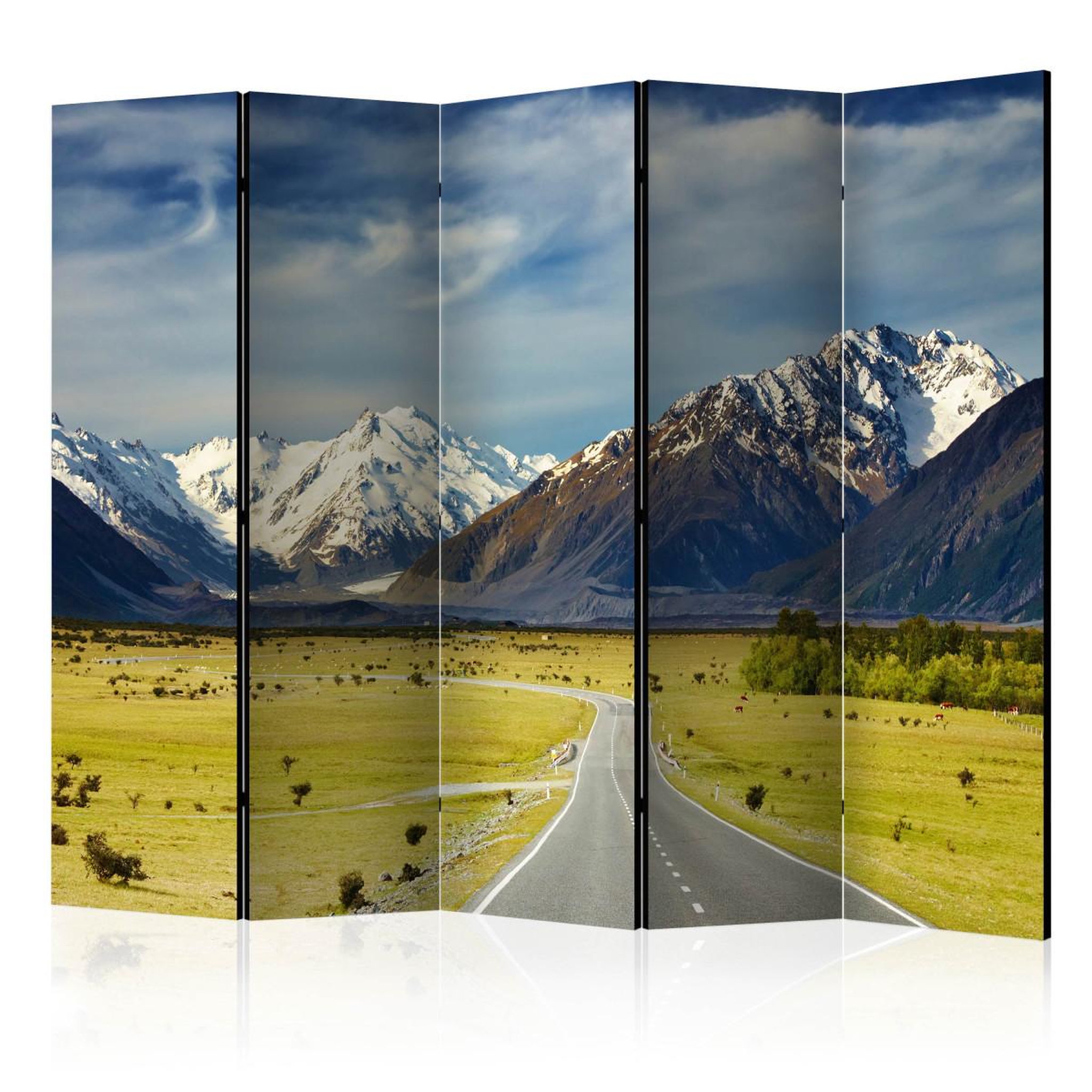 Paris Prix Paravent 5 volets  southern alps, new zealand  172x225cm