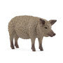 Voir la diapositive 1 : Schleich 14892 Cochon Mangalica